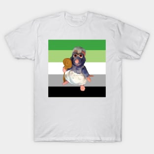 ratatouille aromantic rights T-Shirt